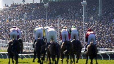 Cheltenham Festival - Cheltenham capacity cut for 2023 to improve experience - rte.ie