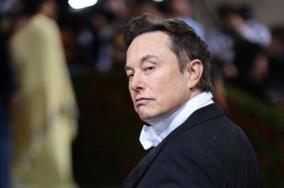 Elon Musk - Elon Musk says tweet about buying Manchester United was a joke - news24.com - Manchester - Usa - Florida - New York - county Bay