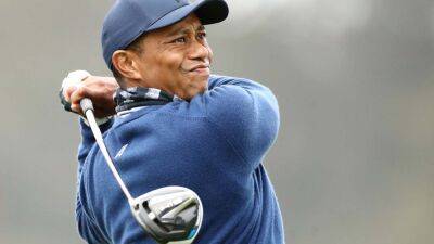 Rory Macilroy - Tiger Woods - Cameron Smith - McIlroy adamant Woods still the ‘alpha’ in golf - guardian.ng - state Delaware
