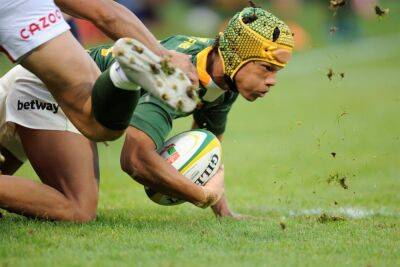 Bok coach Nienaber explains Kurt-Lee Arendse start: 'A like-for-like replacement for Cheslin'