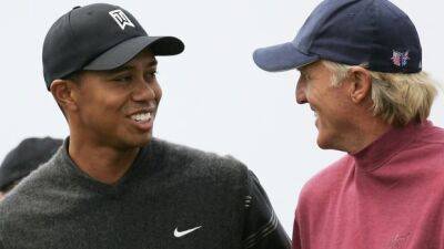 Greg Norman says Tiger Woods rejected up to $800M US to join LIV Golf series