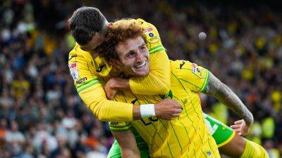 Kenny Maclean - Josh Sargent - Danel Sinani - Championship - Kieran Dowell - Josh Sargent double gives Norwich victory over Millwall - bt.com -  Norwich