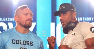 Anthony Joshua vs Oleksandr Usyk 2 fight purses and prize money confirmed