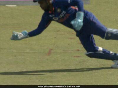 Watch: Sanju Samson's Acrobatic One-Handed Catch Gets India First Wicket vs Zimbabwe In Second ODI