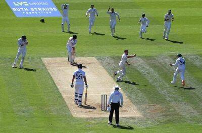 PICTURES | Delight and despair: Test fever grips nation after Proteas trounce England - news24.com - South Africa