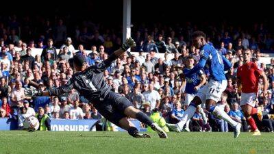 Late Gray goal gives Everton 1-1 draw with Nottingham Forest