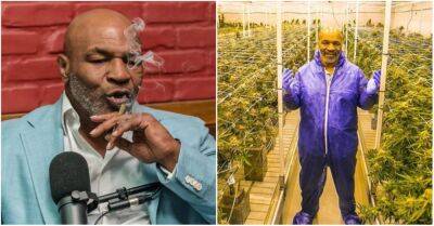 Mike Tyson - Roy Jones-Junior - Evander Holyfield - Michael Phelps - Mike Tyson: how much money does he spend on weed? - givemesport.com - state California