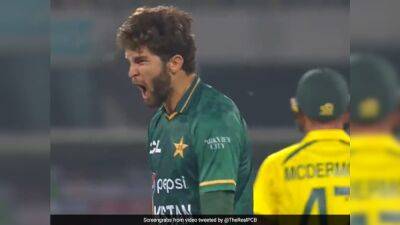 "Told Him Not To Dive": Ex-Pakistan Captain On Shaheen Afridi's Injury