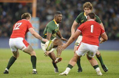 Bok coach not concerned by Warrick Gelant's move to No 14: 'He knows our system'