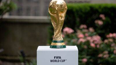 Pakistan Army To Provide Troops To Qatar For FIFA World Cup Security: Report