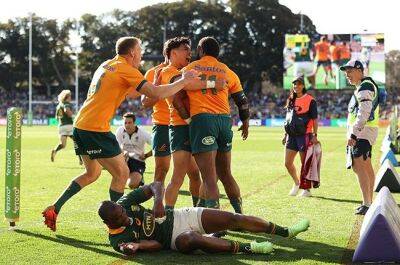 Adelaide Oval - Siya Kolisi - Damian Willemse - Fraser Macreight - Nic White - Noah Lolesio - Awful in Adelaide: Woeful Springboks collapse to defeat against superior Wallabies ... again - news24.com - Australia