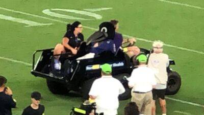 Baltimore Ravens mascot, Poe, carted off field after being injured during halftime youth football game
