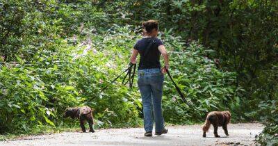 The rules 'most dog walkers will not be aware' could cost them £1,000 for breaking