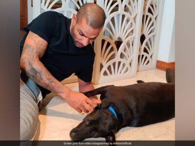 Watch: Shikhar Dhawan Shares Hilarious Video With His Dog On Instagram