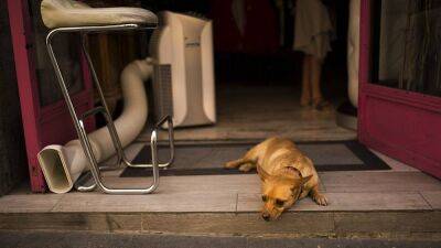 Controversy as Spain bans air conditioning from dropping below 27°C