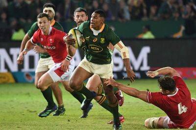 Injury-hit Springboks start Damian Willemse at 10, Canan Moodie in line for debut