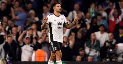 Aleksandar Mitrovic and Fulham end Brighton’s unbeaten start