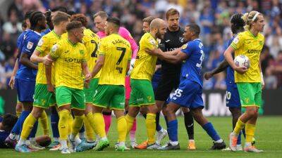 Teemu Pukki - Joe Ralls - Cardiff City - Cardiff and Norwich charged after flashpoint in Championship clash - bt.com -  Norwich -  Cardiff