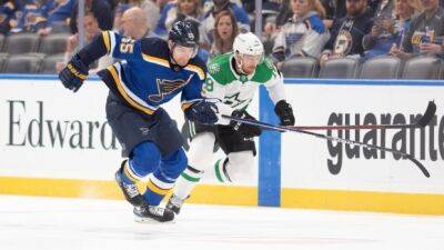 Veteran forward Raffl signs in Switzerland - tsn.ca - Switzerland - Austria - Washington