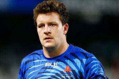 John Dobson - Young guns Smit, Venter sign new Stormers deals - news24.com