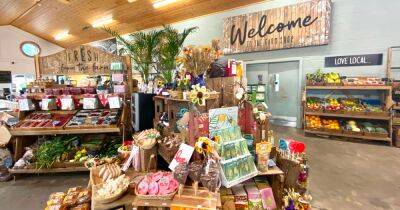 The top farm shop near Manchester with strawberry picking and play area that families flock to