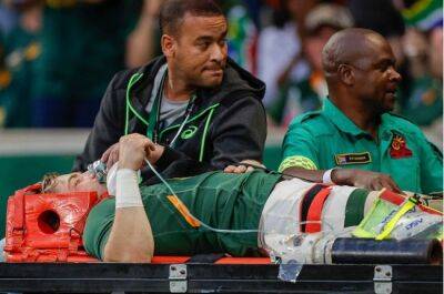 Grant Williams - Jacques Nienaber - Herschel Jantjies - Cobus Reinach - Lee Arendse - Cheslin Kolbe - Caleb Clarke - Faf fitness doubt for Springboks after concussion injury - news24.com - South Africa - New Zealand -  Johannesburg