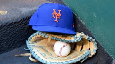 Mets fan knocks out Braves supporter in fight during game at Citi Field