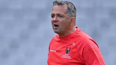 Davy Fitzgerald - Fitzgerald leaves Cork camogie coaching post after one year - rte.ie - Ireland