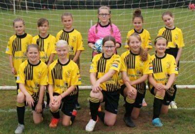 Larkfield FC named national grassroots clubs of the year - kentonline.co.uk -  Leicester