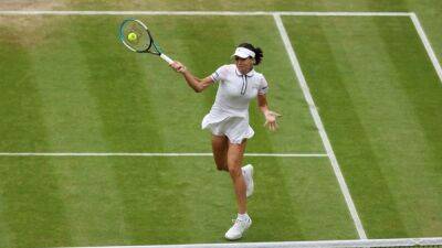 US Open clash with Serena a dream come true for Tomljanovic