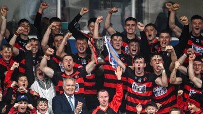 Ballygunner march to ninth Waterford title on the spin with victory over Mount Sion at rain-soaked Walsh Park - rte.ie - Ireland - county Hutchinson