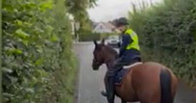 Driver shouts 'middle class t***' at horse rider during road rage row - manchestereveningnews.co.uk