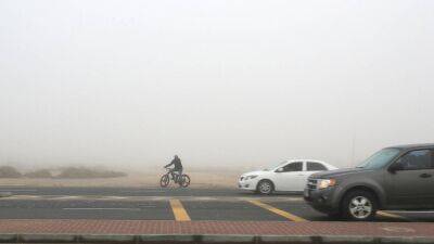 How to drive safely in UAE fog: Tips for motorists in reduced visibility - thenationalnews.com - Abu Dhabi - Uae - Dubai