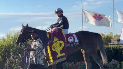 Stein earns first Prince of Wales Stakes win aboard Duke of Love - tsn.ca