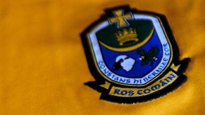 96-week ban proposed for alleged Roscommon ref assault - rte.ie - county Roscommon