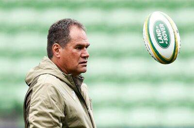 Rennie incredulous after controversial call costs Wallabies victory