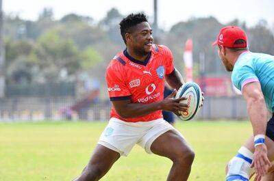 David Kriel - Ellis Park - Jake White - Richie Mo - White on 'gifted footballer' Simelane at fullback: 'He must be more versatile to play for Boks' - news24.com