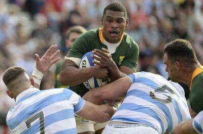 Warrick Gelant - Damian Willemse - Jacques Nienaber - Elton Jantjies - Kurt-Lee Arendse - Joseph Dweba - Major blow for Springboks as Willemse is ruled out of final Pumas Test - news24.com - Argentina - South Africa -  Buenos Aires - New Zealand