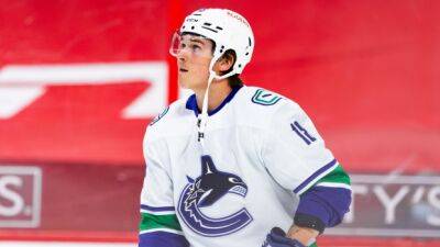 Oilers sign Virtanen, Demers to PTOs