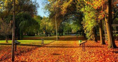 The best places to see autumn leaves change colour around Greater Manchester