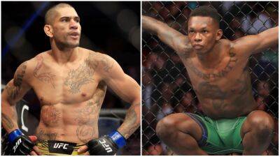 UFC 281: Israel Adesanya praises 'perfect' story ahead of Alex Pereira fight
