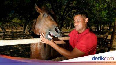Rawat Kuda Pacu, Peternak Ini Rela Rogoh Uang Belasan Juta Tiap Bulan - sport.detik.com