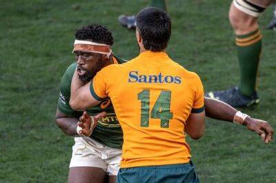 Kolisi pleads with fans not to give up on Boks: 'We'll do our best this weekend'