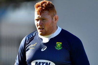 Class act Kitshoff could become Bok 'complicator'