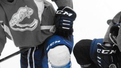 B.C. junior hockey team fined and 2 players suspended for alleged hazing