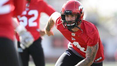 Stampeders LB Judge suspended one game for punch on Whitehead - tsn.ca
