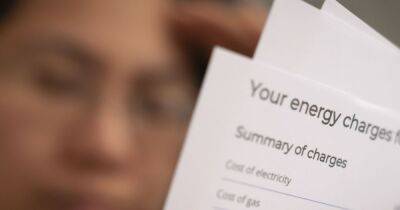 Government to cover half of businesses' energy bills this winter as support plans announced in full