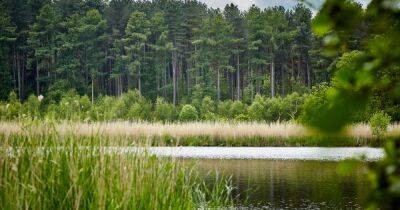 Earthquake recorded at Cheshire beauty spot