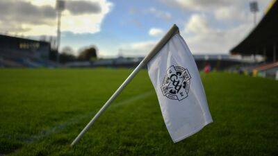Probe into alleged assault of Wexford GAA match official