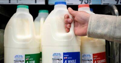 Manchester residents can get FREE milk delivered as inflation 'makes it more expensive than petrol'